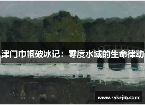 津门巾帼破冰记：零度水域的生命律动